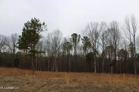 2 Co Rd 607, Ripley, MS 38663 photo 20