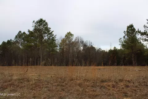 2 Co Rd 607, Ripley, MS 38663 photo 14