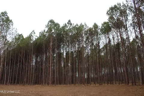 2 Co Rd 607, Ripley, MS 38663 photo 4