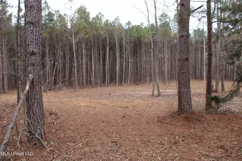 2 Co Rd 607, Ripley, MS 38663 photo 10