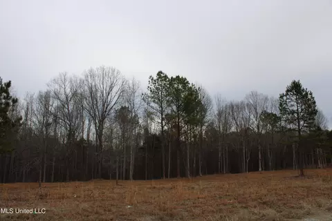 2 Co Rd 607, Ripley, MS 38663 photo 17