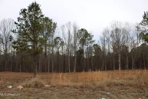 2 Co Rd 607, Ripley, MS 38663 photo 19