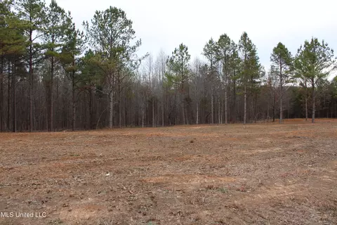 2 Co Rd 607, Ripley, MS 38663 photo 12