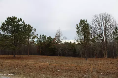 2 Co Rd 607, Ripley, MS 38663 photo 16