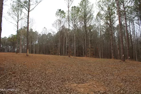 2 Co Rd 607, Ripley, MS 38663 photo 8