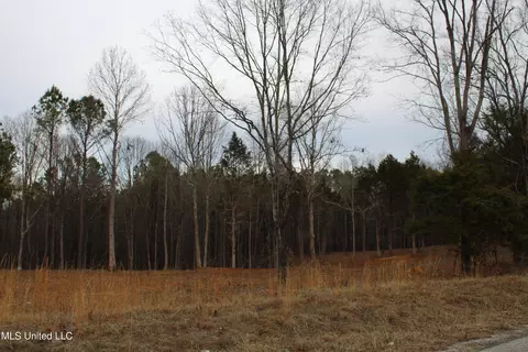 2 Co Rd 607, Ripley, MS 38663 photo 21