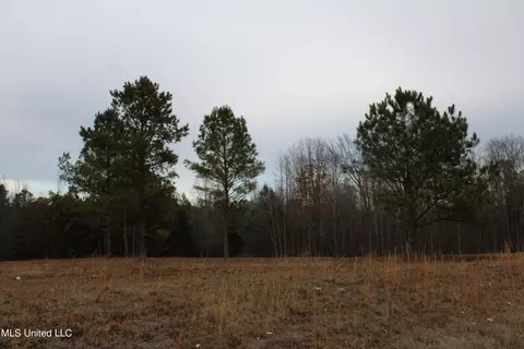 2 Co Rd 607, Ripley, MS 38663 photo 15