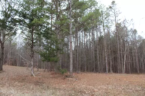 2 Co Rd 607, Ripley, MS 38663 photo 7
