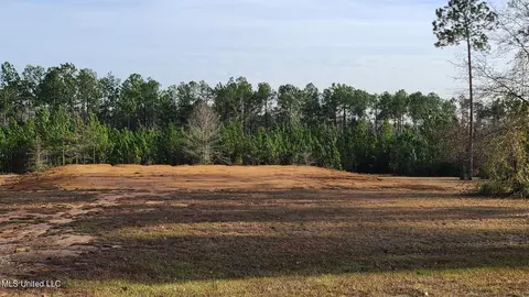 52 Towering Pines Dr, Carriere, MS 39426
