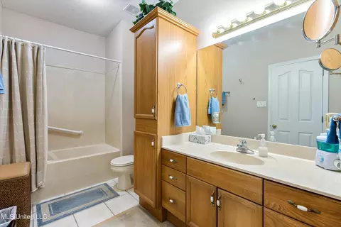 Bath - 7450 Davidson Rd, Olive Branch, MS 38654 photo 4 of 5