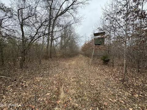 Cr 180, Carrollton, MS 38917 photo 39
