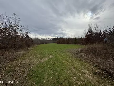 Cr 180, Carrollton, MS 38917 photo 38