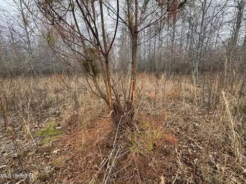 Cr 180, Carrollton, MS 38917 photo 42