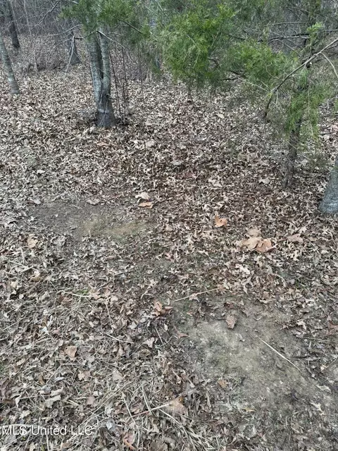 Cr 180, Carrollton, MS 38917 photo 27