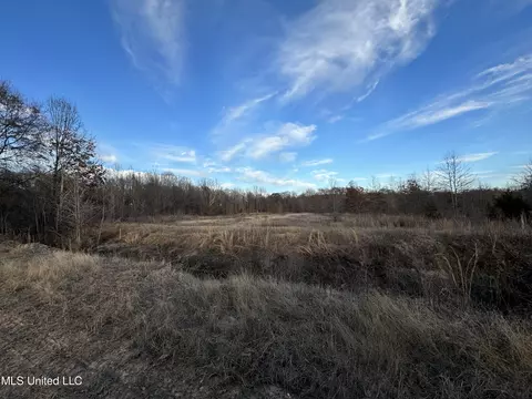 Cr 180, Carrollton, MS 38917 photo 20