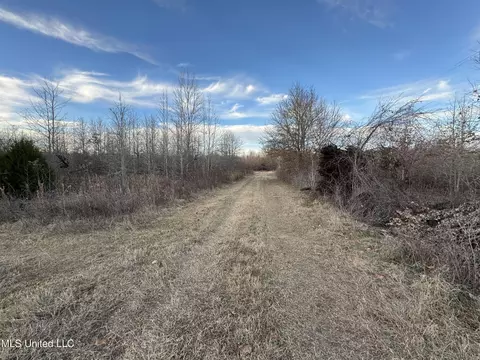 Cr 180, Carrollton, MS 38917 photo 18