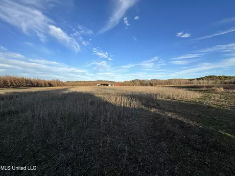 Cr 180, Carrollton, MS 38917 photo 2