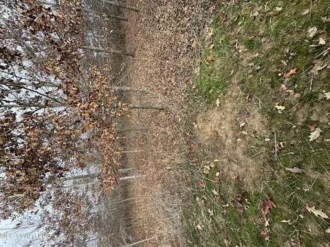 Cr 180, Carrollton, MS 38917 photo 30