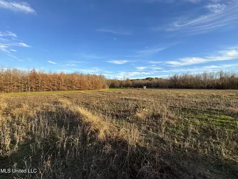 Cr 180, Carrollton, MS 38917 photo 9