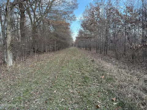 Cr 180, Carrollton, MS 38917 photo 22