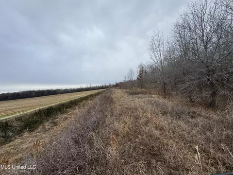 Cr 180, Carrollton, MS 38917 photo 28
