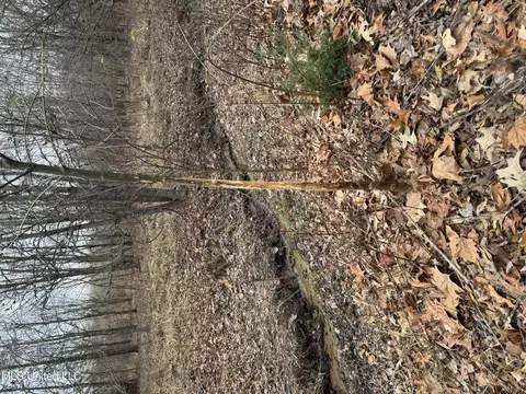 Cr 180, Carrollton, MS 38917 photo 26