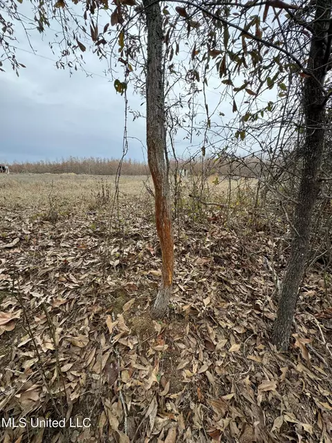 Cr 180, Carrollton, MS 38917 photo 31