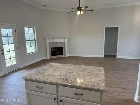 Other - 1776 Benton Dr, Hernando, MS 38632 photo 4 of 10