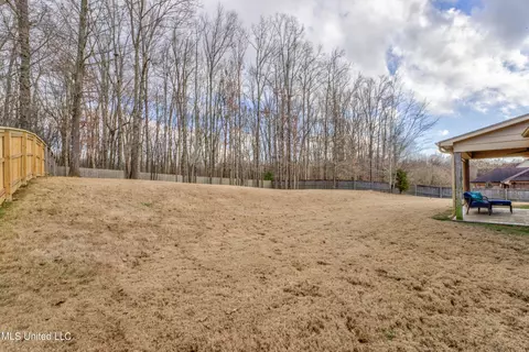 2228 Lesterfield Pl, Nesbit, MS 38651 photo 27