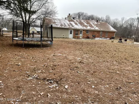 7080 Hickory Estate Dr, Walls, MS 38680 photo 18