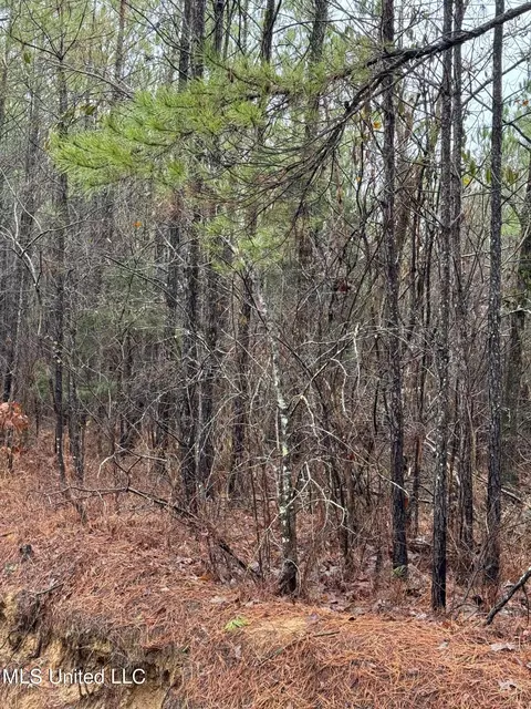 2400 Musgray Rd, Waterford, MS 38685