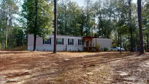 153 Forest Hill Dr, Lucedale, MS 39452 photo 9