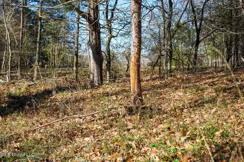 Ms-22, Bolton, MS 39041 photo 7