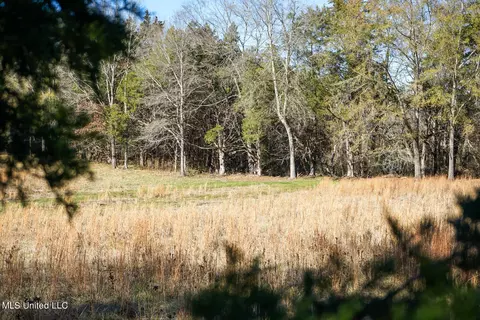Ms-22, Bolton, MS 39041 photo 14