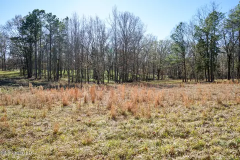Ms-22, Bolton, MS 39041 photo 9