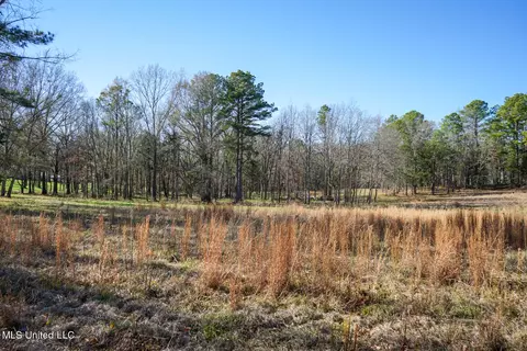 Ms-22, Bolton, MS 39041 photo 12