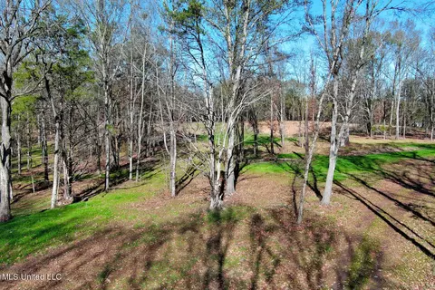 Ms-22, Bolton, MS 39041 photo 33