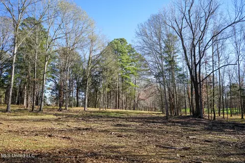 Ms-22, Bolton, MS 39041 photo 6