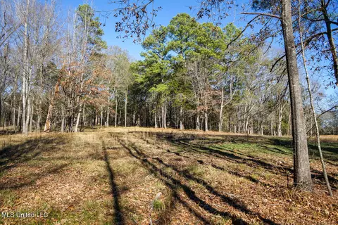 Ms-22, Bolton, MS 39041 photo 4