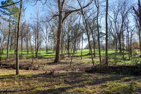 Ms-22, Bolton, MS 39041 photo 3