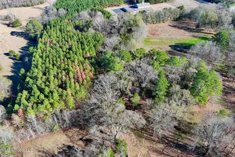 Ms-22, Bolton, MS 39041 photo 19