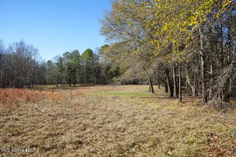 Ms-22, Bolton, MS 39041 photo 11