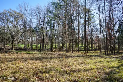 Ms-22, Bolton, MS 39041 photo 5