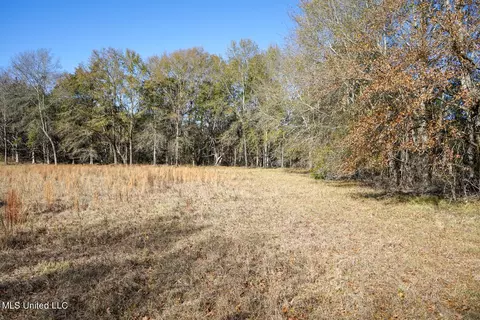 Ms-22, Bolton, MS 39041 photo 13