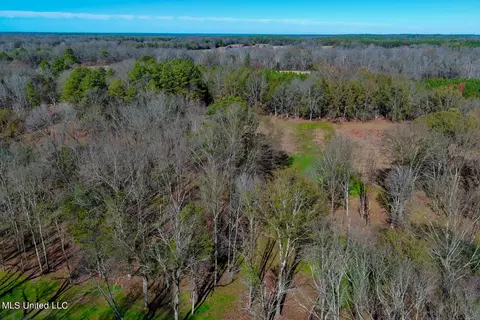 Ms-22, Bolton, MS 39041 photo 36