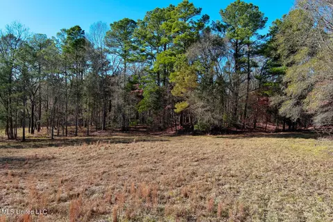 Ms-22, Bolton, MS 39041 photo 26