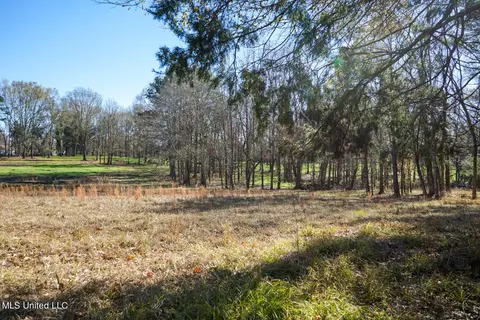 Ms-22, Bolton, MS 39041 photo 8