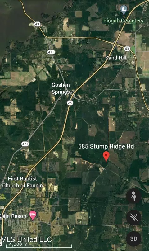 585 Stump Ridge Rd, Brandon, MS 39047 photo 2
