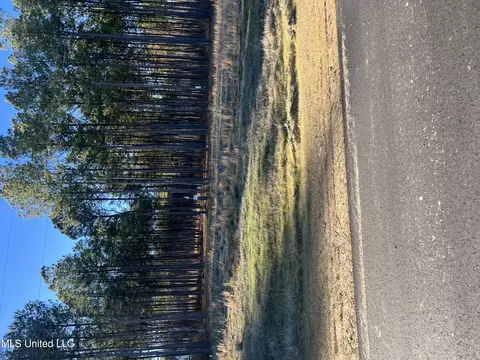 585 Stump Ridge Rd, Brandon, MS 39047