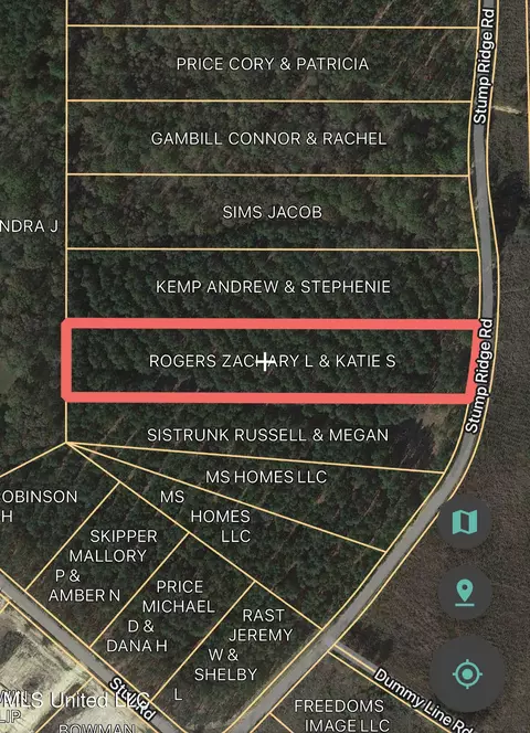 585 Stump Ridge Rd, Brandon, MS 39047 photo 3